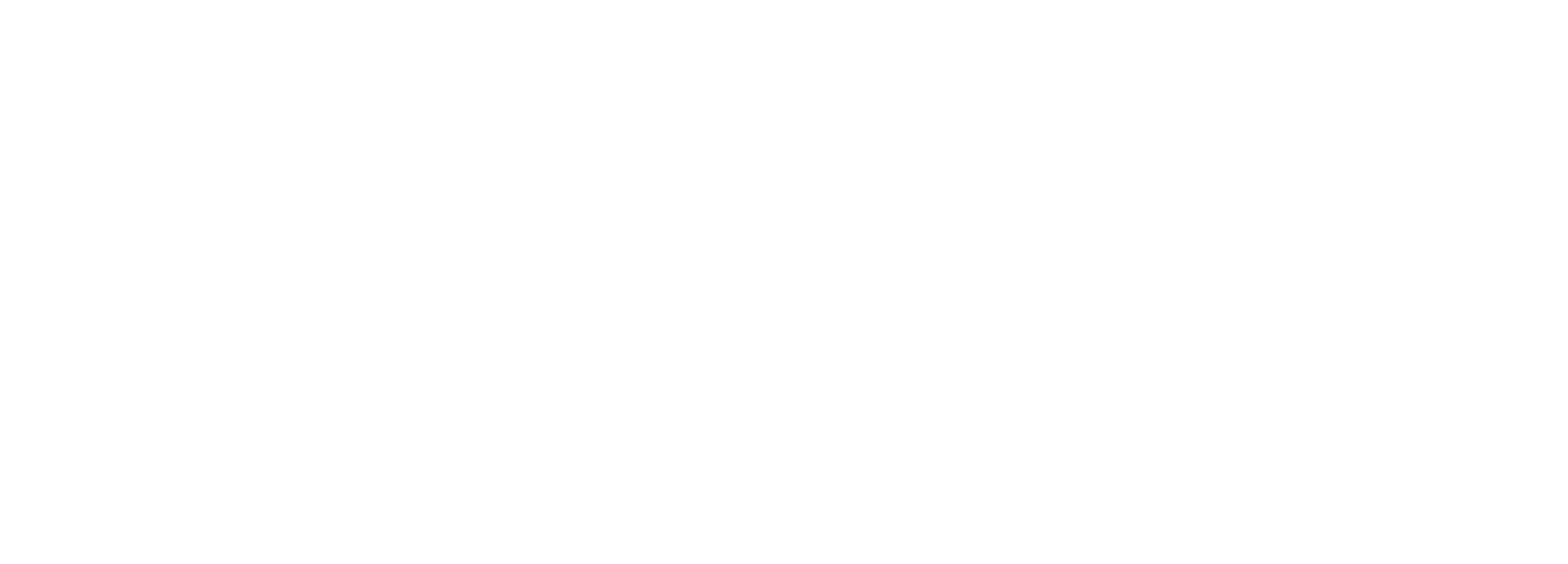 Logo Sociedade Norte-Nordeste de Cardiologia